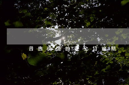 普惠快捷的现金贷逾期 普惠快捷的现金贷逾期