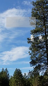 普惠快捷逾期3个月