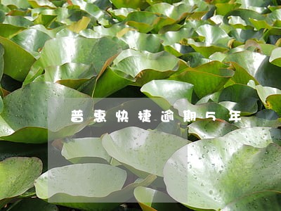 普惠快捷逾期5年