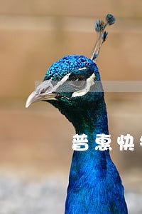 普惠快捷逾期三个月