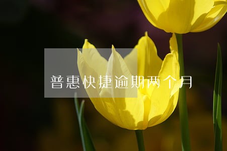 普惠快捷逾期两个月