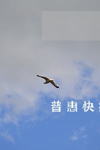 普惠快捷逾期两年可以还本金吗 普惠快捷逾期两年可以还本金吗