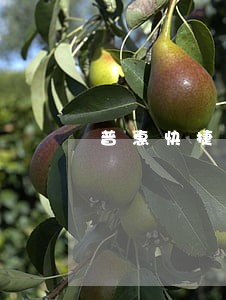 普惠快捷逾期严重上征信吗 普惠快捷逾期严重上征信吗
