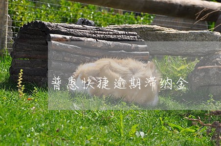普惠快捷逾期滞纳金 普惠快捷逾期滞纳金