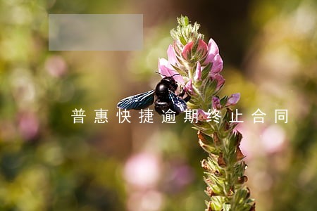 普惠快捷逾期终止合同 普惠快捷逾期终止合同