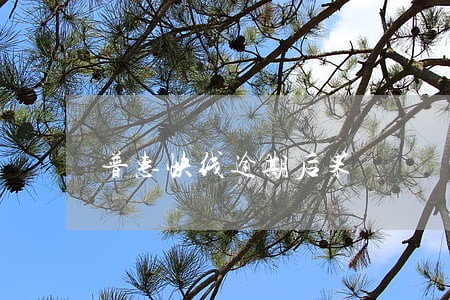 普惠快线逾期后果