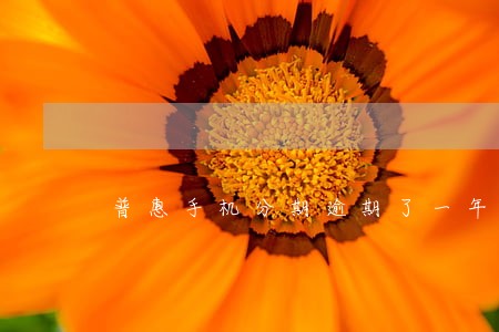 普惠手机分期逾期了一年利息 普惠手机分期逾期了一年利息