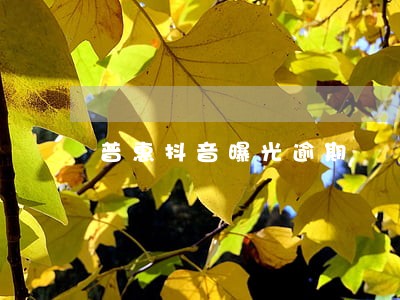 普惠抖音曝光逾期 普惠抖音曝光逾期