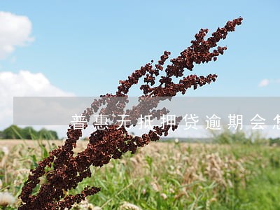 普惠无抵押贷逾期会怎样 普惠无抵押贷逾期会怎样