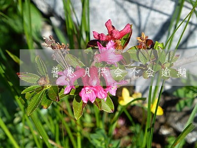 普惠月供会不会逾期 普惠月供会不会逾期
