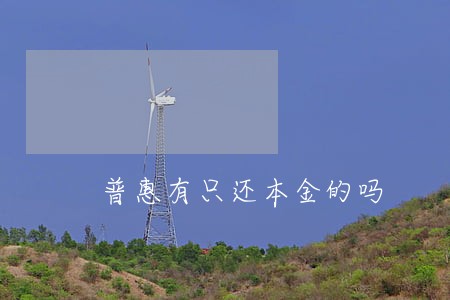 普惠有只还本金的吗