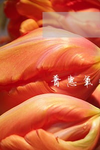 普惠氧气贷逾期 普惠氧气贷逾期