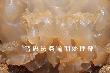 普惠法务逾期处理部 普惠法务逾期处理部