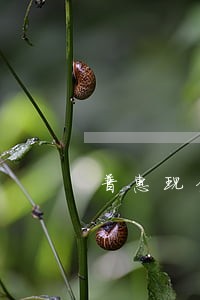 普惠现金贷逾期不还严不严重 普惠现金贷逾期不还严不严重