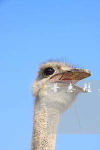 普惠短期逾期 普惠短期逾期