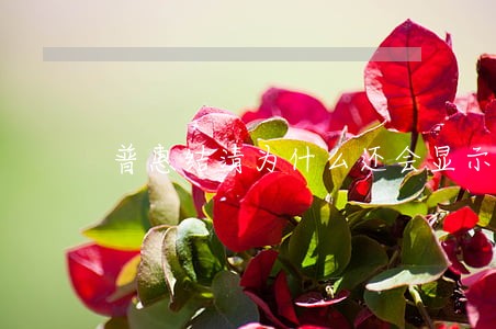 普惠结清为什么还会显示逾期 普惠结清为什么还会显示逾期