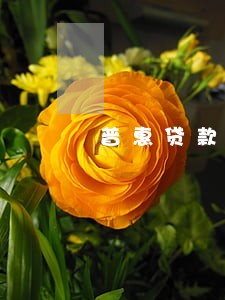 普惠贷款逾期一两天有事吗 普惠贷款逾期一两天有事吗
