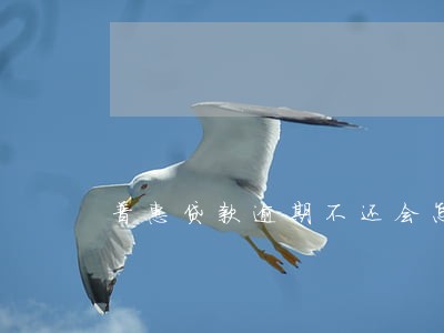 普惠贷款逾期不还会怎么样 普惠贷款逾期不还会怎么样
