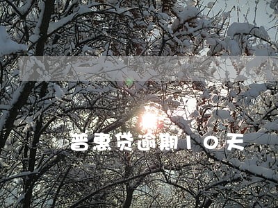 普惠贷逾期10天 普惠贷逾期10天