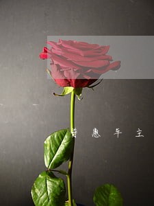 普惠车主贷逾期 普惠车主贷逾期