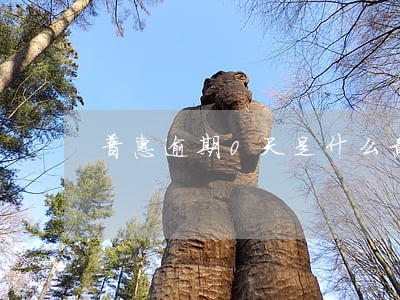 普惠逾期0天是什么意思 普惠逾期0天是什么意思