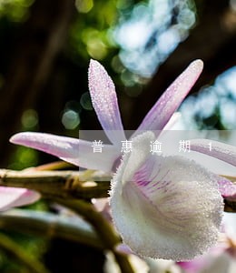 普惠逾期10个月 普惠逾期10个月