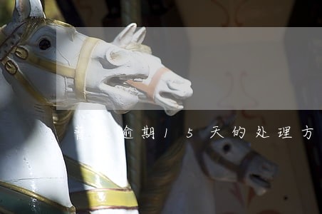 普惠逾期15天的处理方法 普惠逾期15天的处理方法