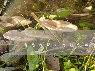 普惠逾期2天打电话怎么办 普惠逾期2天打电话怎么办