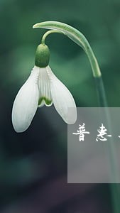 普惠逾期30天利息多少 普惠逾期30天利息多少