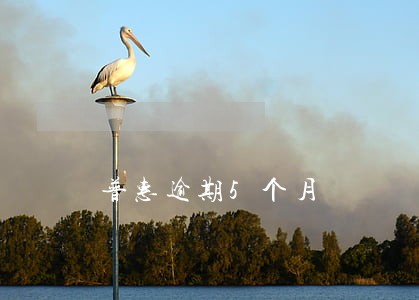 普惠逾期5个月 普惠逾期5个月