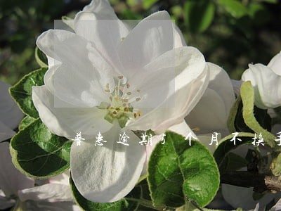 普惠逾期5个月不换手机怎么办 普惠逾期5个月不换手机怎么办