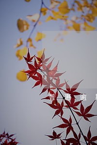 普惠逾期5个月多少钱