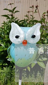 普惠逾期5个月开庭