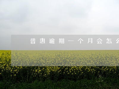 普惠逾期一个月会怎么样 普惠逾期一个月会怎么样