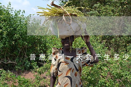 普惠逾期一天会产生多少费用 普惠逾期一天会产生多少费用
