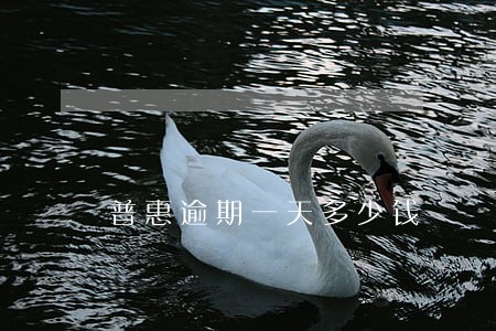 普惠逾期一天多少钱 普惠逾期一天多少钱