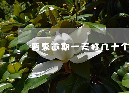 普惠逾期一天打几十个电话