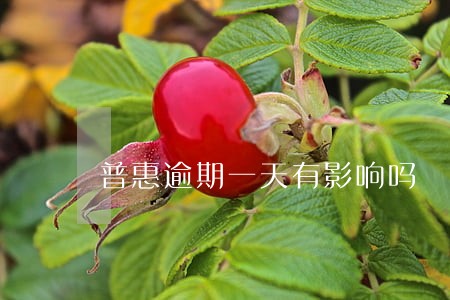 普惠逾期一天有影响吗 普惠逾期一天有影响吗