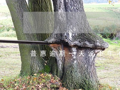 普惠逾期一天说下午不能扣款