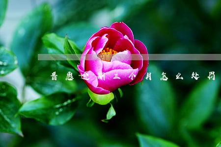 普惠逾期三个月怎么处罚