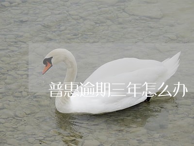 普惠逾期三年怎么办