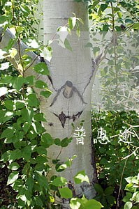 普惠逾期上传征信后果