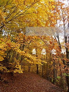 普惠逾期上门催缴