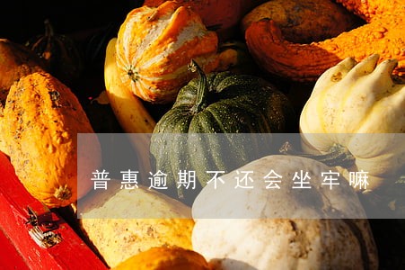 普惠逾期不还会坐牢嘛 普惠逾期不还会坐牢嘛