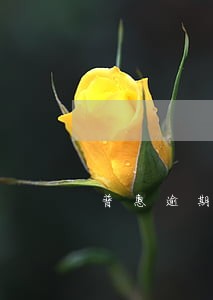 普惠逾期两千