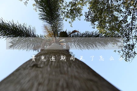 普惠逾期两天了怎么办 普惠逾期两天了怎么办