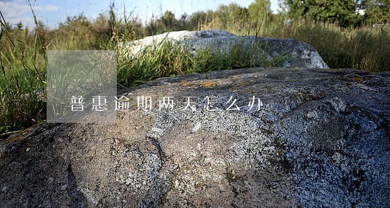 普惠逾期两天怎么办 普惠逾期两天怎么办