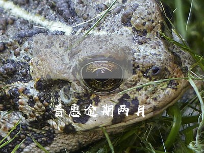普惠逾期两月 普惠逾期两月