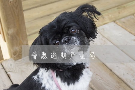 普惠逾期严重吗