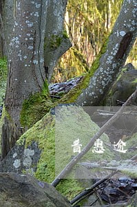 普惠逾期了一个月
